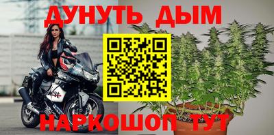 индика Абакан