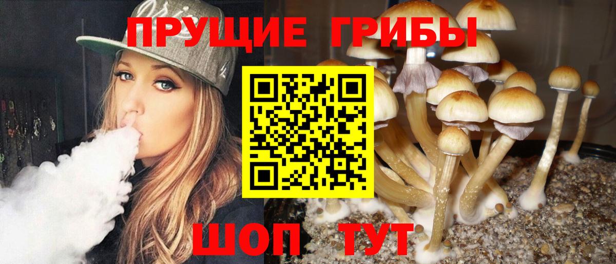 Галлюциногенные грибы Magic Shrooms Бузулук