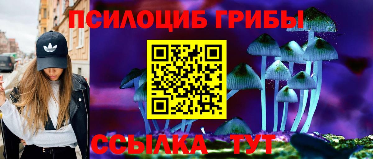 Бузулук  Псилоцибиновые грибы мицелий  Галлюциногенные грибы Psilocybine cubensis  Вход с VPN 