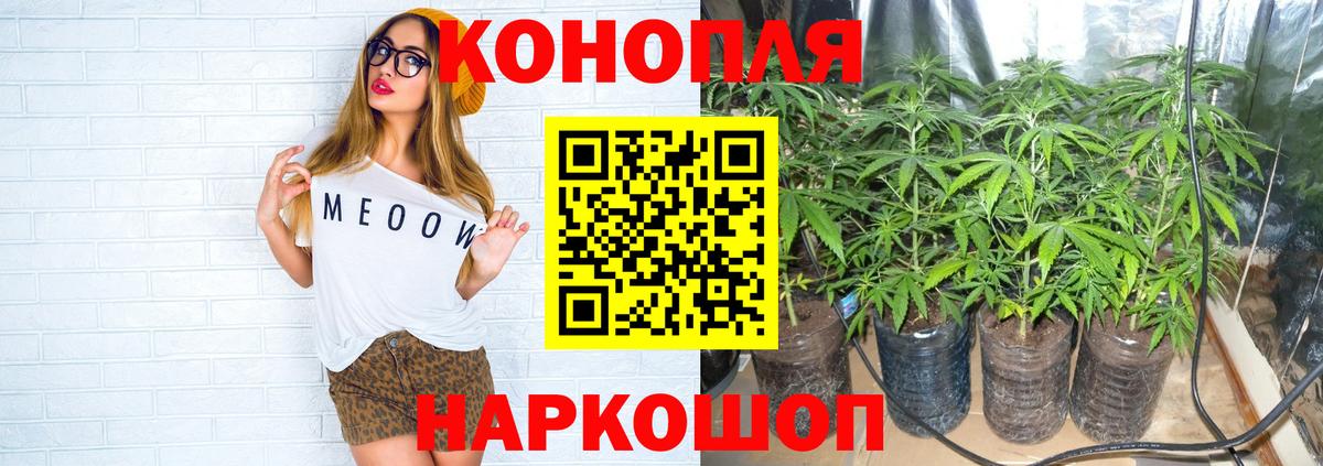Канабис ГИДРОПОН Бузулук